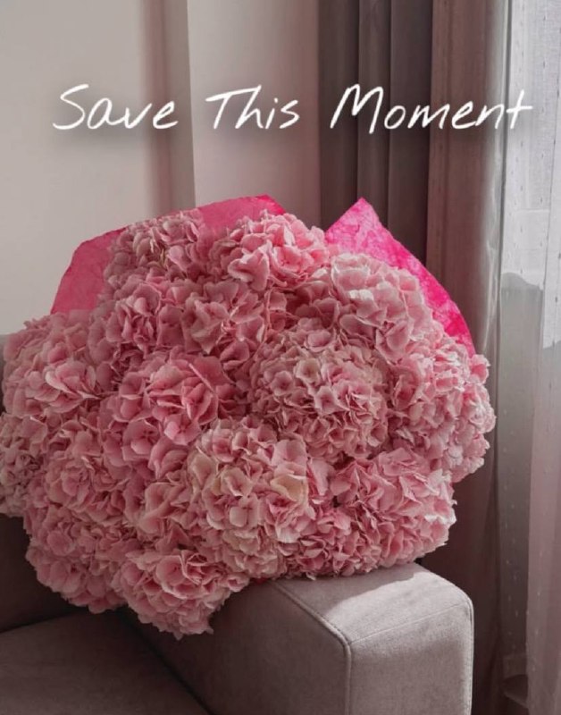 **гортензія** серед весни — Прешов, 10€