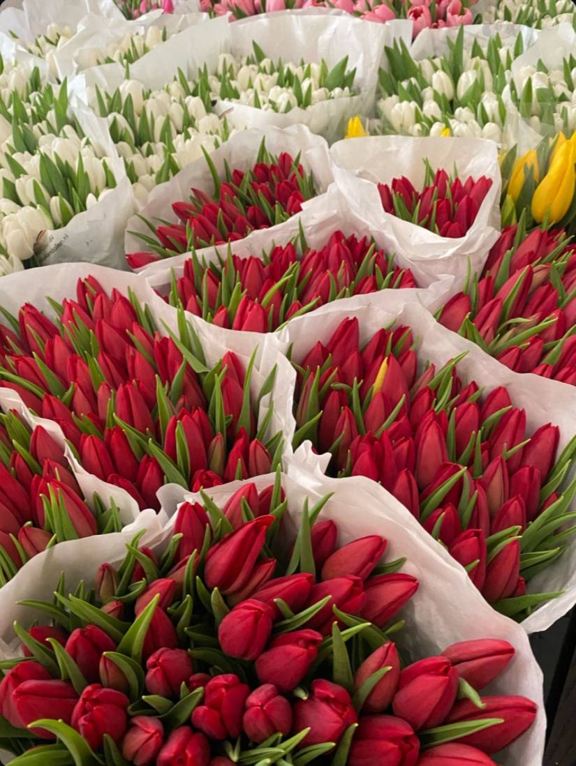 **весна в букеті - це про — Прешов, 1€